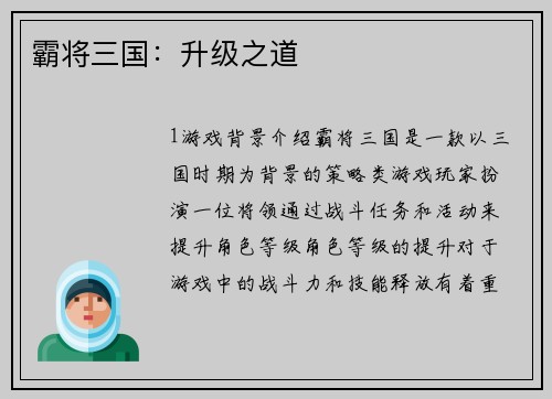 霸将三国：升级之道